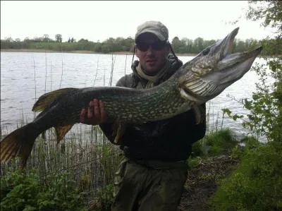 Tous les pêcheurs d'Europe ont entendu parler de ce pays, c'est le royaume du brochet, si vous ne trouvez pas, vous serez verts !