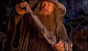 Comment s'appelle le magicien qui arrive à convaincre Bilbon Sacquet de rejoindre un groupe de Nains ?