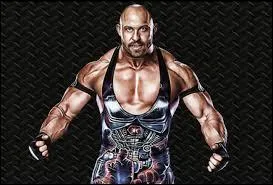 Comment s'appelle le champion intercontinental ?