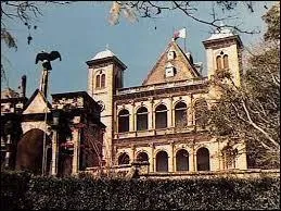 Au sommet de la colline de Manjakamiadana se trouve le "Palais de la Reine", siège des nobles d'autrefois. Que lui est-il arrivé le 6 novembre 1995 ?