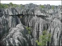 Éloignons-nous un peu de la capitale et dirigeons-nous vers l'Ouest, à environ 300 kilomètres. Quel relief, unique au monde, s'étendant sur 72.340 hectares, est issu de la séparation de Madagascar de la plaque africaine ?