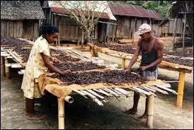 "SAVA" est une région de Madagascar regroupant quatre villes : Sambava, Vohémar, Andapa et la quatrième qui est la capitale mondiale de la vanille. De quelle ville s'agit-il ?