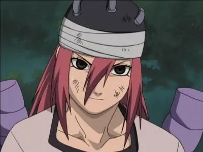 Pour finir ce quiz, qui est ce personnage ? (Je vous prie de m'excuser pour ces questions non variées)