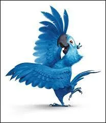 Blue, dans le film "Río", représente :