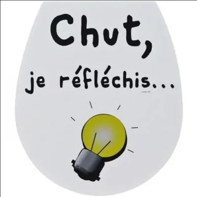 Que sont les chiotes ?