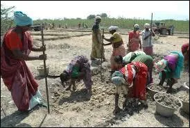 Technique qui consiste à retourner la terre.
