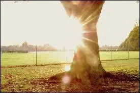 Clarté qui est produite par la lumière solaire.