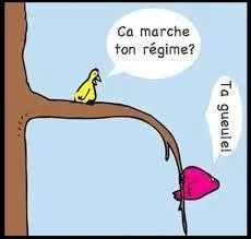 Forme d'esprit qui rend ironiques des choses de la vie réelle.