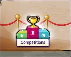 Peut-on participer aux compétitions si nous ne sommes pas VIP ?