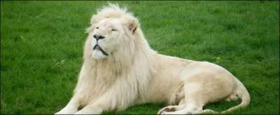 Sketch de Bourvil à la gloire de l'eau ...