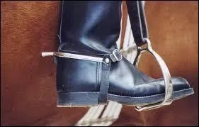 Ce type d'éperon s'appelle :