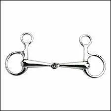 Quel est le nom du mors ci-contre ?