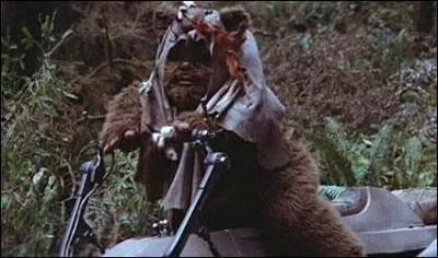 Comment s'appelle l'Ewok qui se charge de faire diversion en volant la moto-jet d'un stormtrooper ?
