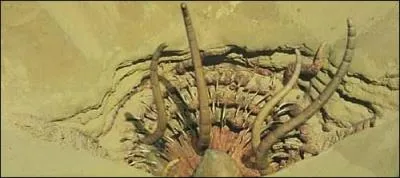 Où Jabba décide-t-il d'emmener Luke et les autres pour les punir d'avoir tué son rancor ?