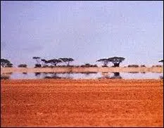 Quel constructeur vend des "Mirage" depuis presque 40 ans ?