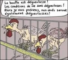 Lorsque l'on habite dans une "cage à poules", cela désigne :