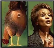 La preuve par l'image, un "cul de poule" peut désigner le postérieur du fameux volatile mais aussi la forme adoptée par les lèvres lorsque l'on effectue une moue. Egalement, le terme "cul de poule" correspond à :