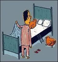 L'expression "Se coucher avec les poules" sera adéquate pour désigner une personne qui :