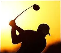 Quelle marque propose le modèle de voiture évoqué par la photo ci-dessous ?