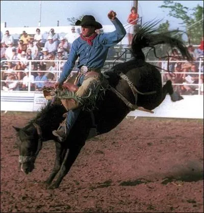 Quelle marque a produit des "Rodeo" de 1970 à 1987 ?