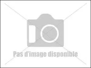 La mère du(de) le(la) survivant(e) :