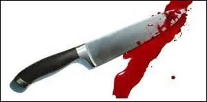 Le tueur est un(e) :