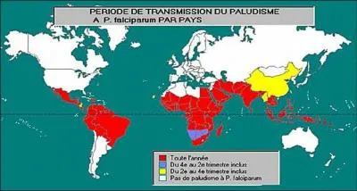 Depuis combien de temps le paludisme affecte-t-il les hommes ?