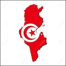 Quel pays a la plus grande superficie entre la Tunisie et la Belgique ?