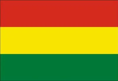 Quel pays est représenté par ce drapeau ?