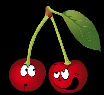 Voilà la cerise sur le gâteau ! Je suis :