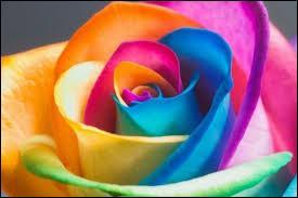 Quiz Couleurs