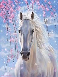 Quiz Chevaux
