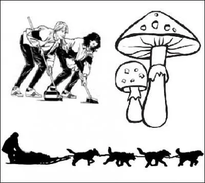 Que fait le musher ?