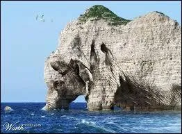 Avec un peu d'imagination, que pouvez-vous voir sur cette photo ? (Plusieurs réponses)