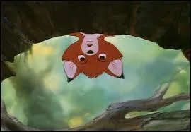 Première apparition en 1981.