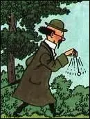 Dans les albums de Tintin, quel est le prénom du professeur Tournesol ?