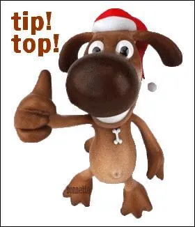 Quant à vous, vous avez obtenu un score de 100 % !