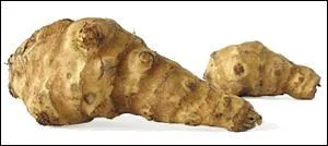 Que vous inspire l'image ?