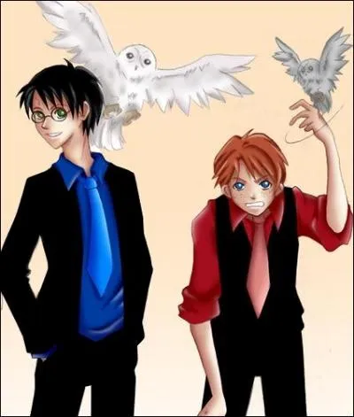 Ces conseils devraient aussi avoir lieu à la fin de la deuxième année d'études, pourquoi ?