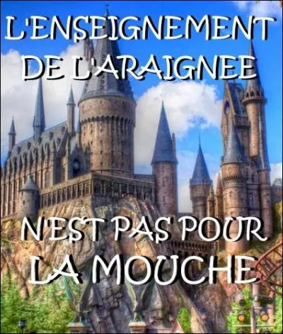 Celui qui ne respecte pas du tout les programmes imposés par le gouvernement...