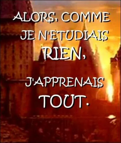 Celle qui, au contraire, suit très scrupuleusement les instructions venant de la hiérarchie, donc d'elle-même...