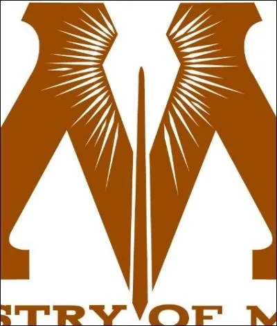 Ils travaillent dans la même organisation ; tandis que lui se charge de la justice "musclée", elle s'occupe de la partie "paperasse". Quel est ce couple ?