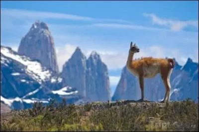 Le territoire chilien s'étire sur 4300 kilomètres du Pérou au Cap Horn, avec une largeur moyenne d'à peine 180 kilomètres ! 
Quelle chaîne de montagnes forme la principale frontière naturelle du pays avec l'océan Pacifique ?
