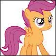 Comment s'appelle ce petit poney ?