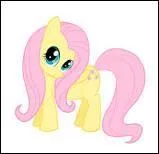 Comment s'appelle ce poney ? (celui qui aime bien les animaux)