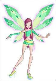 De quelle couleur sont ses ailes ?