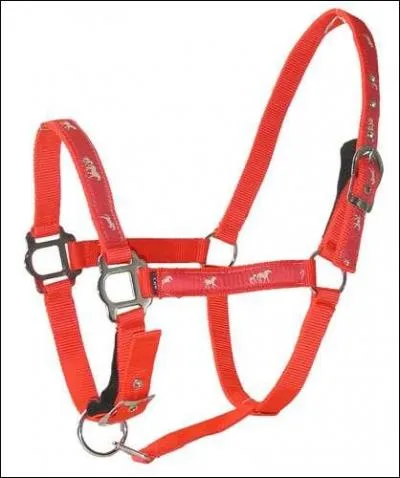 Cet objet est un filet.