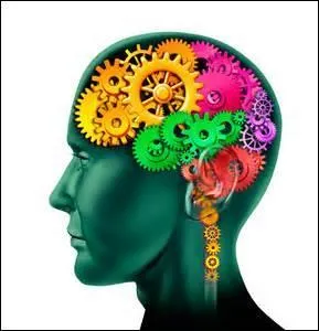 À quelle définition le mot "lobe" ne correspond-il pas ?