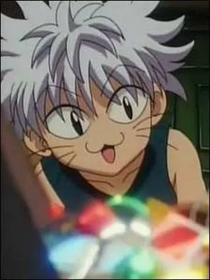 Dans "Hunter x Hunter", comment s'appelle ce personnage ?
