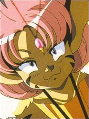 Merle est une fille-chat orpheline qui est protégée par Van, le héros de cet anime, qui s'intitule :